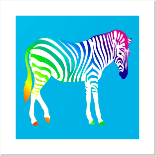 Rainbow Zebra Posters and Art